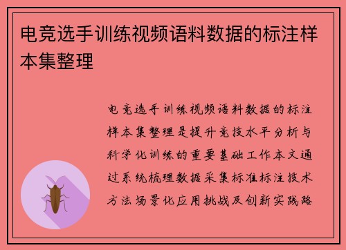 电竞选手训练视频语料数据的标注样本集整理